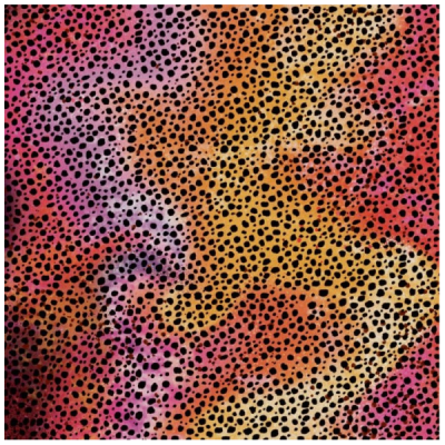 Cricut Infusible Ink – Rainbow Cheetah