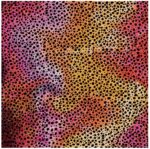 Cricut Infusible Ink – Rainbow Cheetah